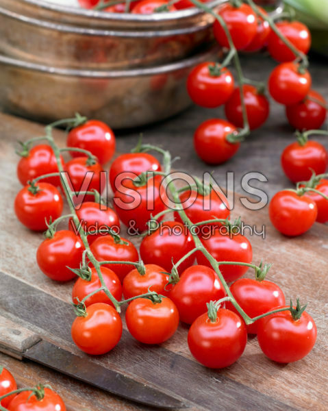 Solanum lycopersicum Solanum lycopersicum