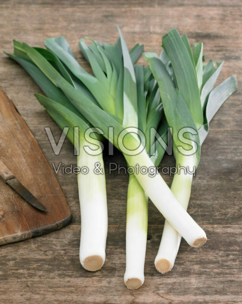 Allium porrum Allium porrum
