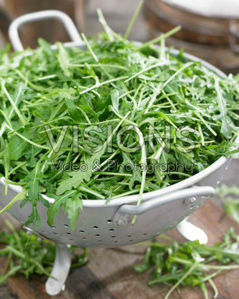 Eruca sativa Eruca sativa