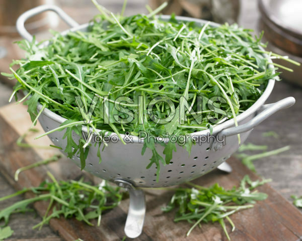 Eruca sativa Eruca sativa