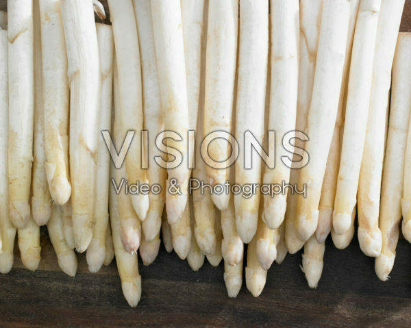 Asparagus officinalis Asparagus officinalis