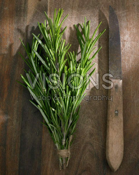 Rosmarinus officinalis Rosmarinus officinalis