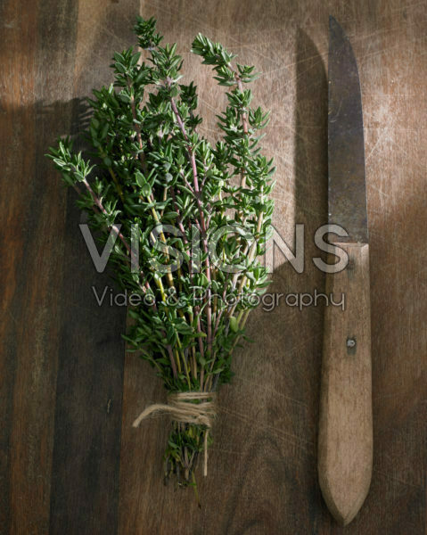 Thymus vulgaris Thymus vulgaris