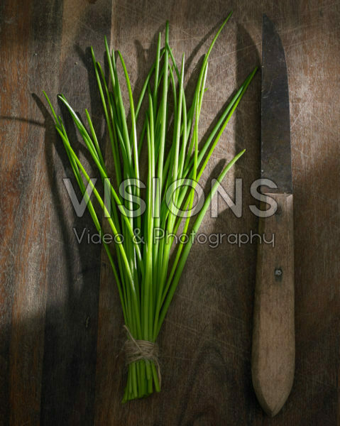 Allium schoenoprasum Allium schoenoprasum