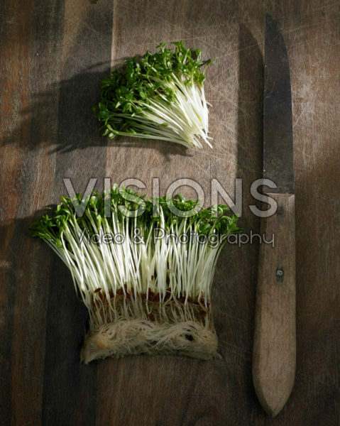 Lepidium sativum Lepidium sativum