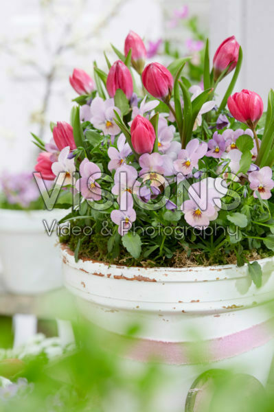 Spring container Spring container