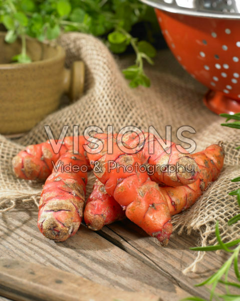 Oca, Oxalis tuberosa Oca, Oxalis tuberosa
