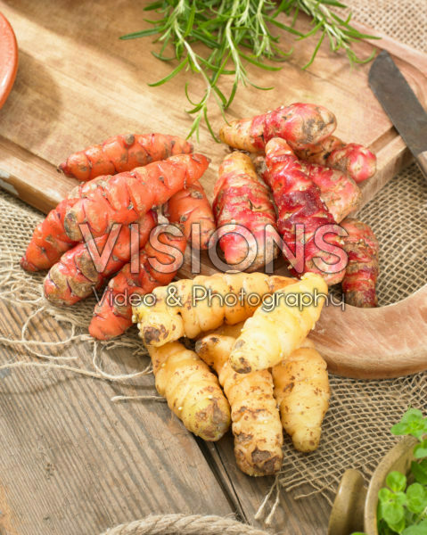 Oca, Oxalis tuberosa Oca, Oxalis tuberosa