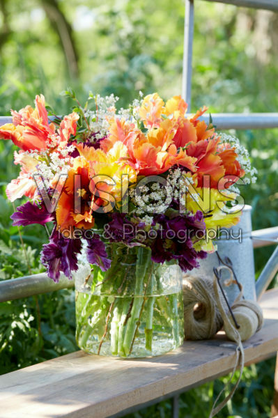 Tulipa Parrot bouquet Tulipa Parrot bouquet