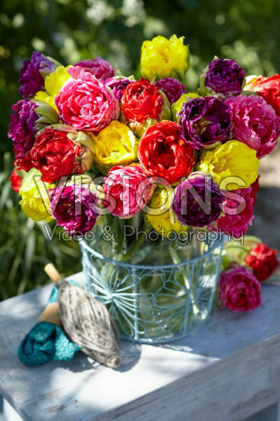 Tulipa Pop Up bouquet Tulipa Pop Up bouquet