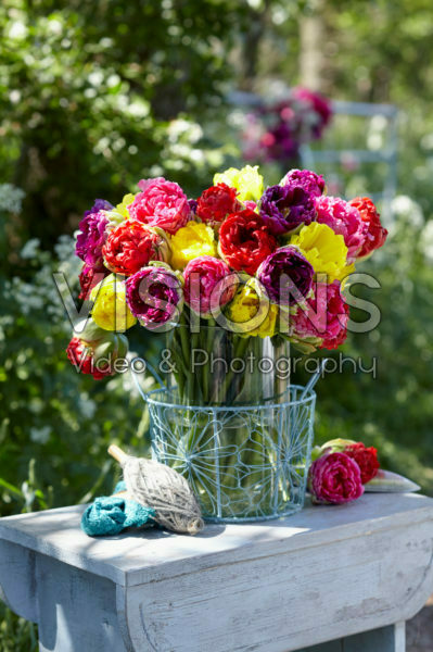 Tulipa Pop Up boeket Tulipa Pop Up boeket