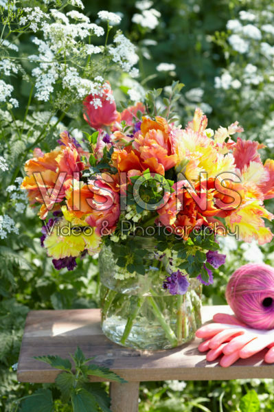 Tulipa Parrot bouquet Tulipa Parrot bouquet