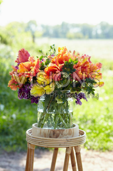 Tulipa Parrot bouquet Tulipa Parrot bouquet