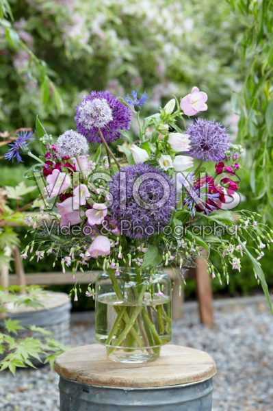 Allium bouquet Allium bouquet