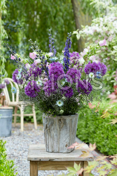 Allium bouquet Allium bouquet