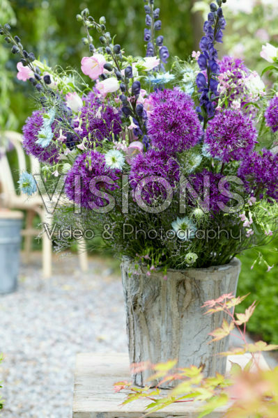Allium bouquet Allium bouquet