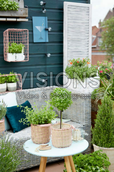 Herb collection on roof terrace Herb collection on roof terrace