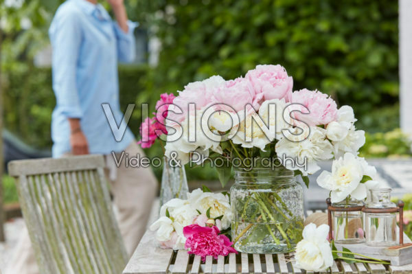 Peonies Peonies