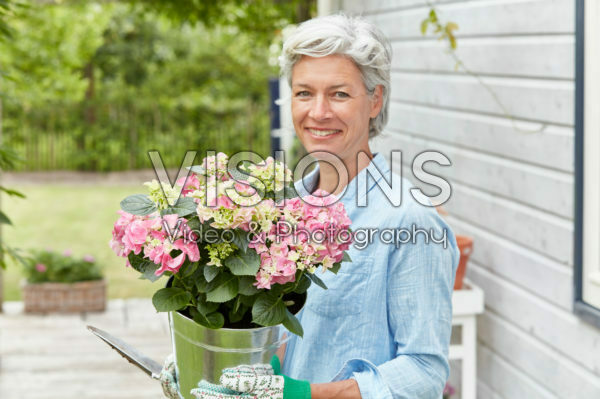 Lady holding hydrangea Lady holding hydrangea