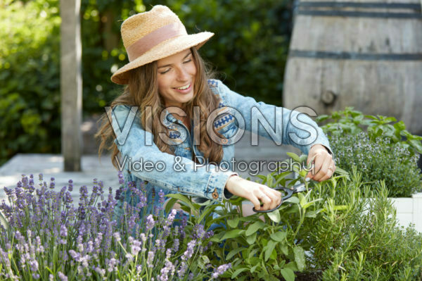 Lady cutting sage Lady cutting sage