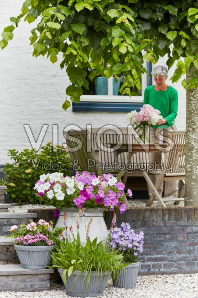 Summer containers Summer containers