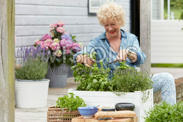 Lady cutting herbs Lady cutting herbs