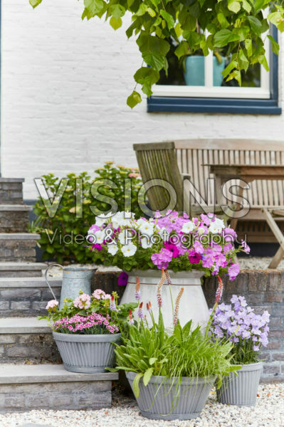 Summer containers Summer containers
