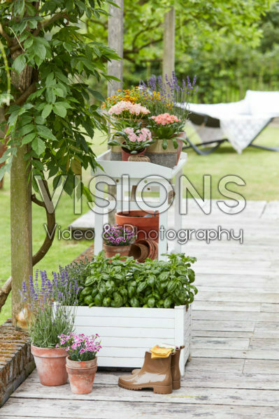 Summer containers Summer containers