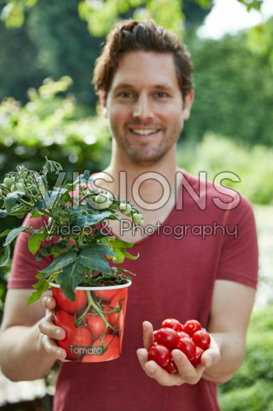 Man holding tomato plant Man holding tomato plant