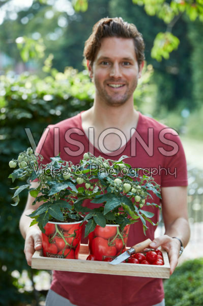 Man holding tomato plants Man holding tomato plants