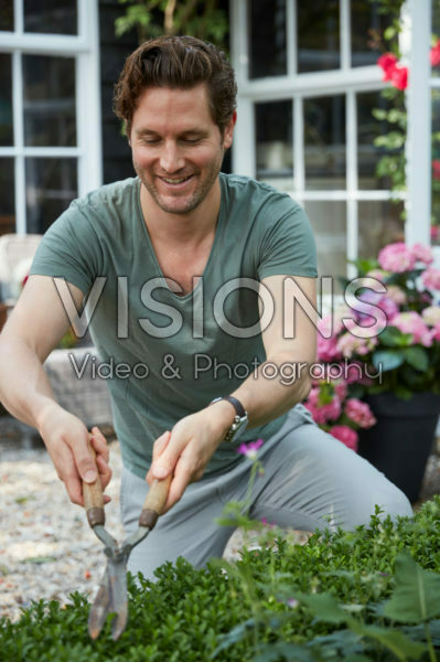 Man trimming buxus hedge Man trimming buxus hedge
