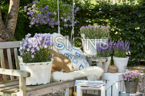 Summer containers Summer containers