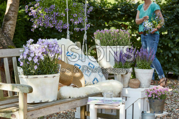 Summer containers Summer containers