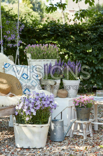 Summer containers Summer containers