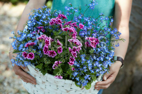 Summer container Summer container