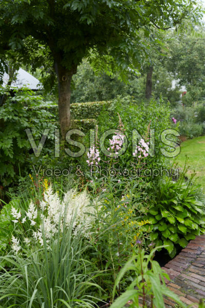 Summer garden Summer garden