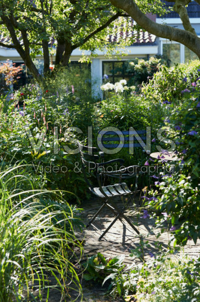 Summer garden Summer garden