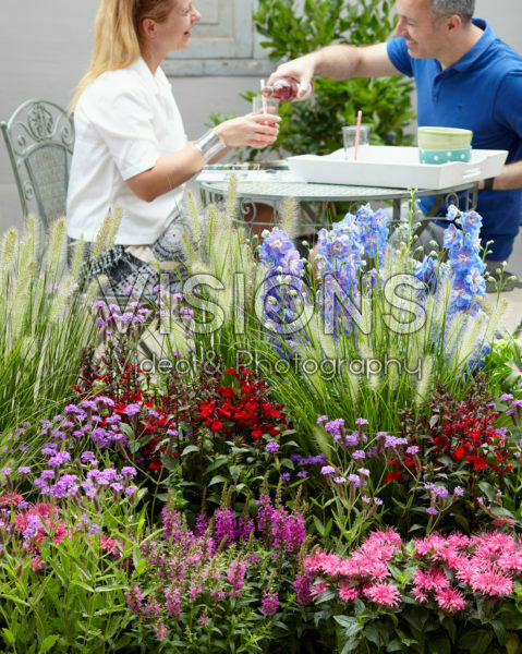 Mixed perennials Mixed perennials