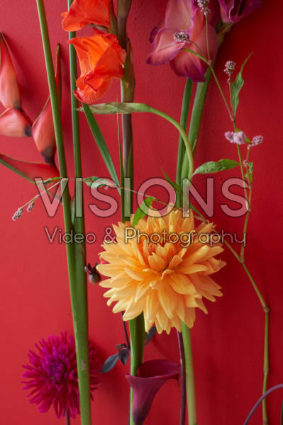 Eigentijdse zomerbloemen serie Eigentijdse zomerbloemen serie