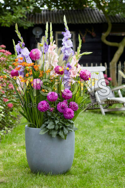 Summer container Summer container