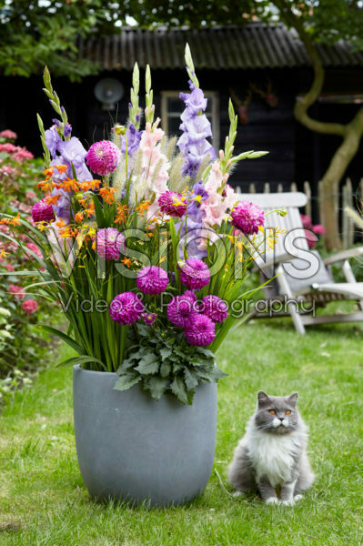 Summer container Summer container