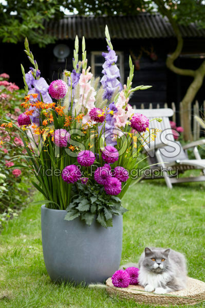Summer container Summer container