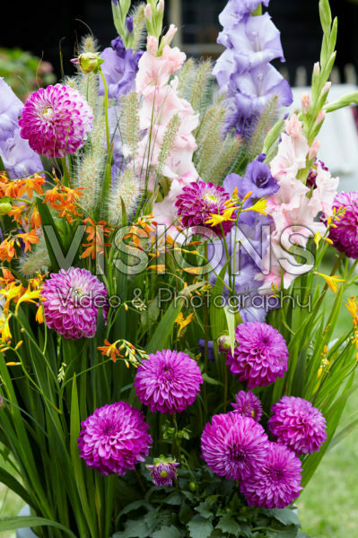 Summer flowers Summer flowers