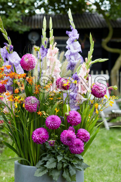 Summer container Summer container