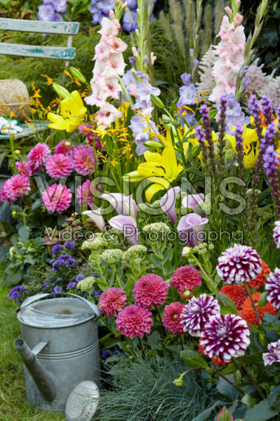 Summer flowering bulbs in border Summer flowering bulbs in border