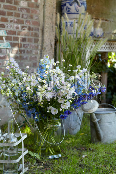Vase of Delphiniums Vase of Delphiniums