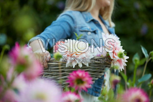 Lady in Dahlia garden Lady in Dahlia garden