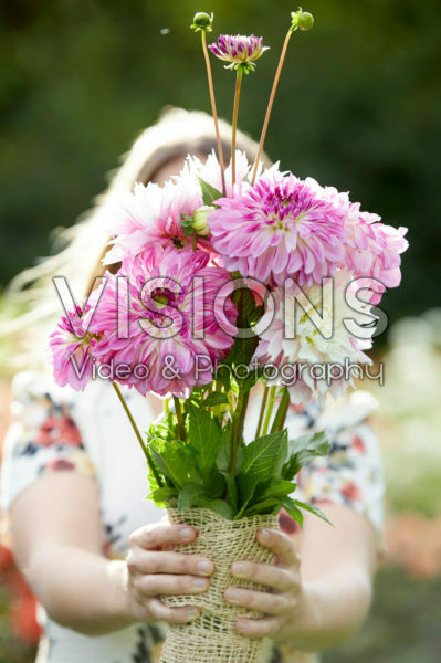Bunch of dahlias Bunch of dahlias
