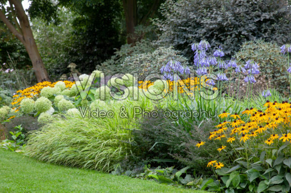 Perennial border Perennial border