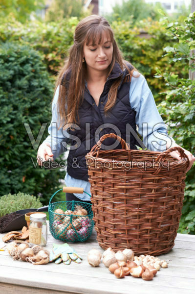 Young lady planting a bulbous lasagne Young lady planting a bulbous lasagne
